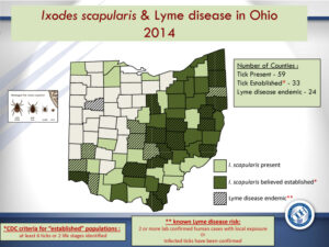 Deer ticks in Ohio by county courtesy of Glenn Needham of the Ohio 