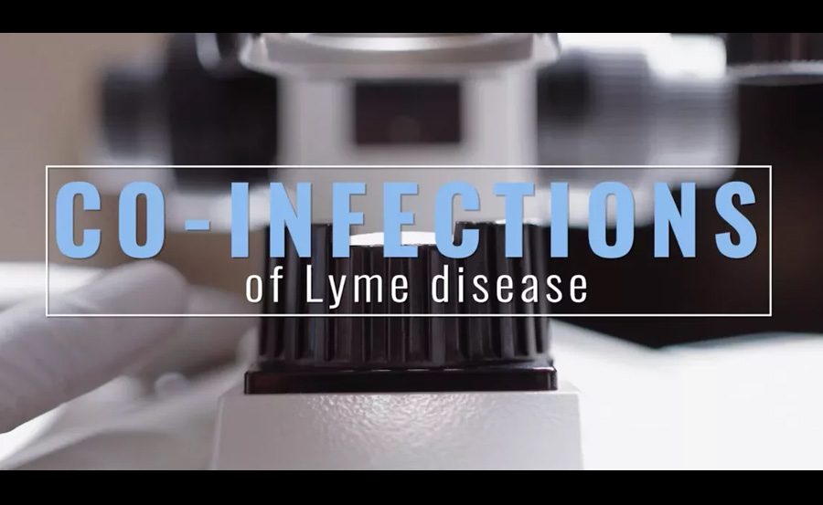 Lyme Disease Co-Infections