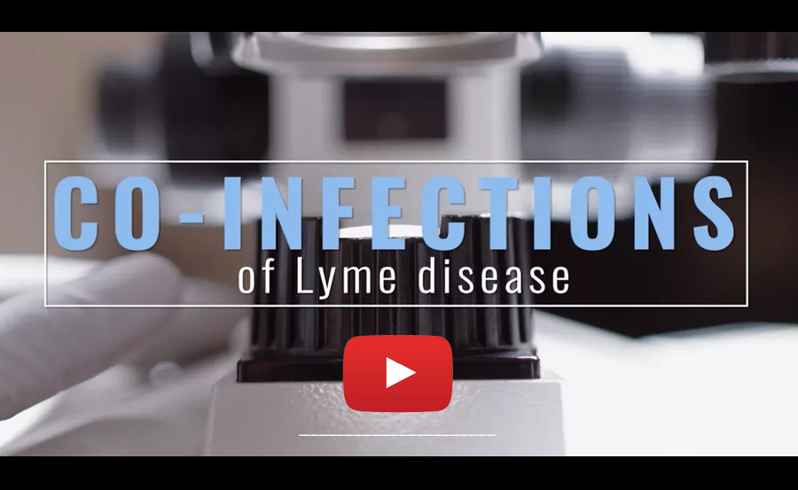 Lyme Disease Co-Infections